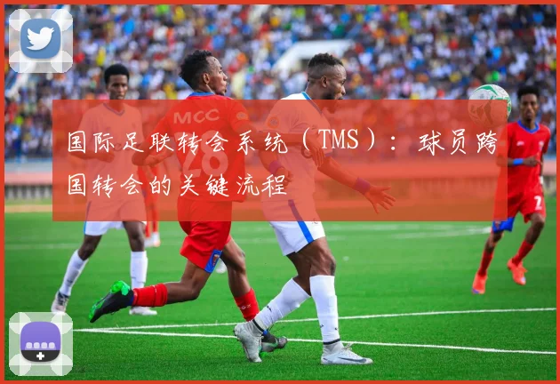 国际足联转会系统(TMS):球员跨国转会的关键流程