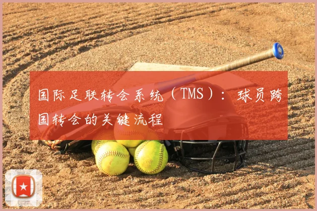 国际足联转会系统(TMS):球员跨国转会的关键流程